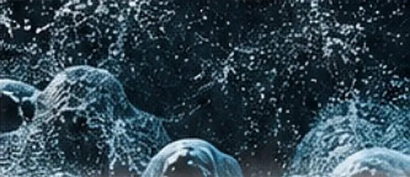 Water droplets